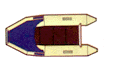 ZED 31